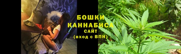 бошки Арсеньев