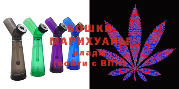 шишки Алзамай
