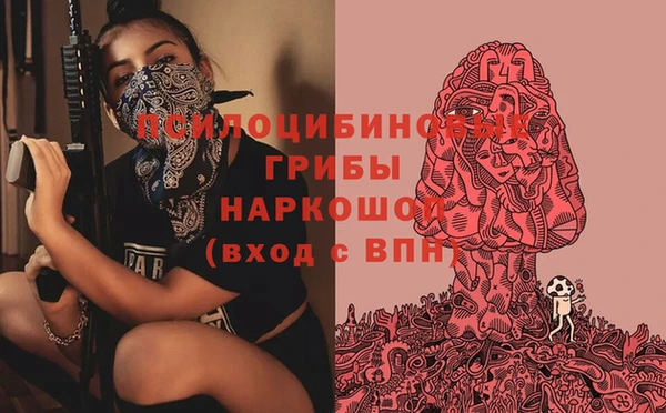 бошки Арсеньев