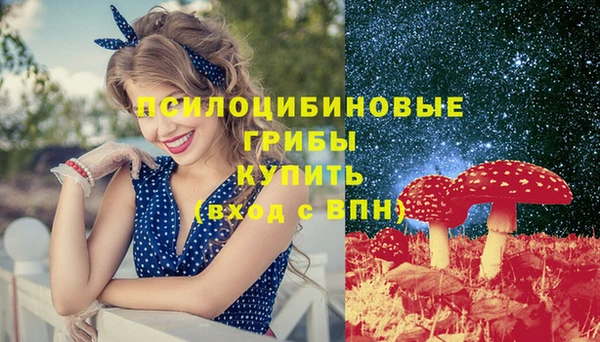 бошки Арсеньев