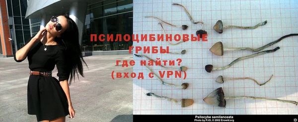 бошки Арсеньев