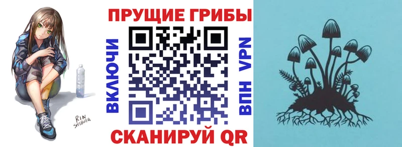Галлюциногенные грибы мицелий сайты даркнета наркотические препараты Гурьевск